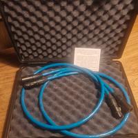 Cavo Hi End The Gryphon