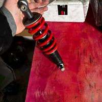 monoammortizzatore  beta 50