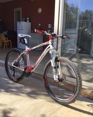 Bicicletta Lombardo Sestriere 600