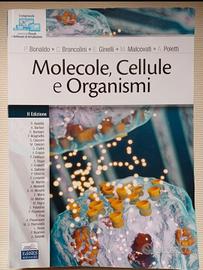 Bonaldo, Molecole, cellule e organismi 