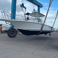 Zaniboni 270 Bluetime