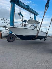 Zaniboni 270 Bluetime