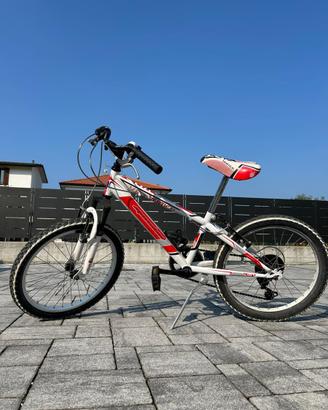 Bici bimbo 20 polloci rossa