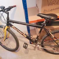 biciclette usatea