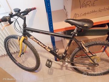 biciclette usatea