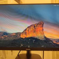 Monitor Philips 24" IPS Full HD - Modello 243V7