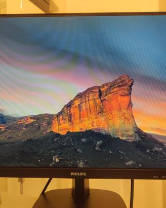 Monitor Philips 24" IPS Full HD - Modello 243V7