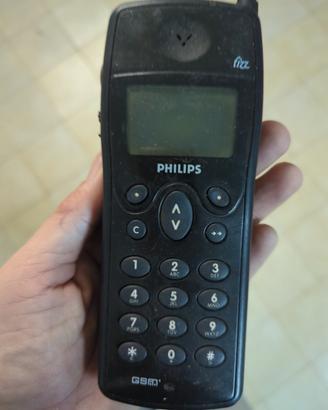 Philips frizz 