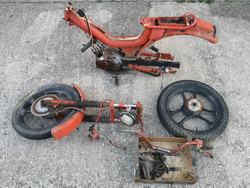 Cimatti gringo e Malaguti