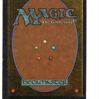 Mare sotterraneo Carta Dual Land Magic TheGatherin