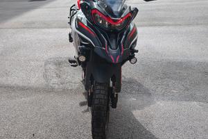 Benelli trk 702 x 