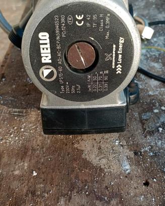 Circolatore Pompa Grundfos UPS15-60 Riello