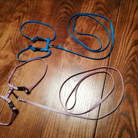 Guinzagli per gatti, mai usati