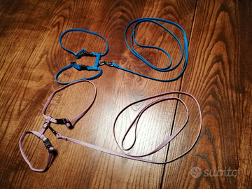 Guinzagli per gatti, mai usati