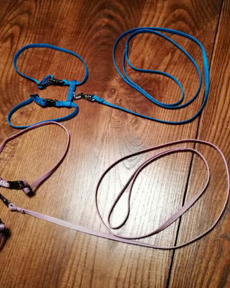 Guinzagli per gatti, mai usati