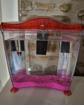 acquario 10 litri