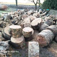 ritiro legna intera, scarti di abbattimenti 