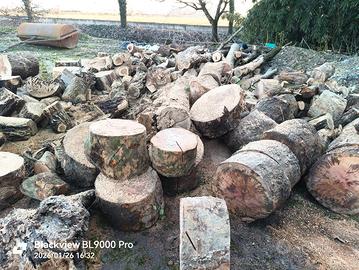 ritiro legna intera, scarti di abbattimenti 