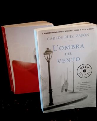 L'Ombra del vento e il Cacciatore di Aquiloni 