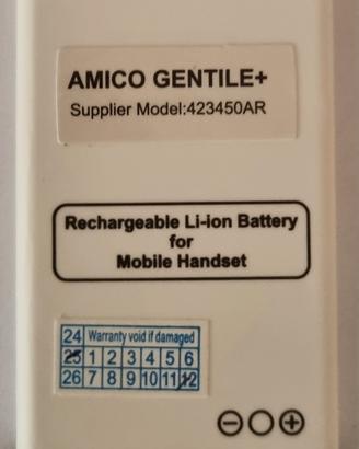 Batteria di Ricambio 