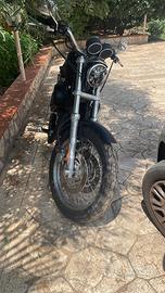 Harley Davidson Sportster 1200