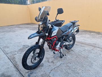 swm superdual t 2024