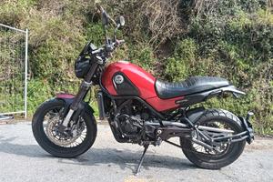 Benelli Leoncino 500 Trail 08/2019