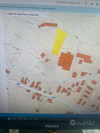 Bosco a Cogollo del Cengio