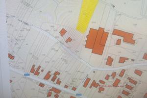 Bosco a Cogollo del Cengio