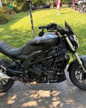 Benelli 502C