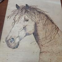 Cavallo pirografia