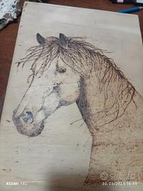 Cavallo pirografia