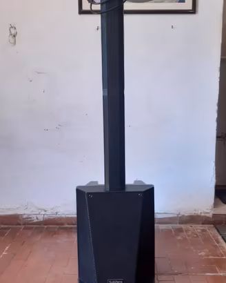 Impianto audio line array cassa amplificata per dj