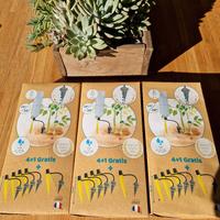 irrigatore a goccia per vasi