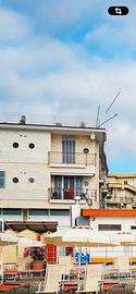 Trilocale ceriale