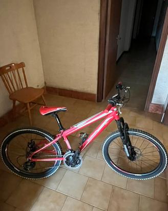 Lombardo Mozia 24 disk