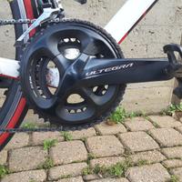 Bici da corsa "pezzo unico"