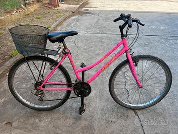 2 mountain bike