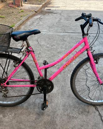 2 mountain bike