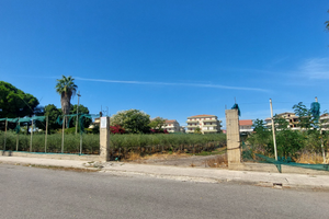 Terreno agricolo a vivaio con progetto approvato