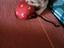 Immagine 4