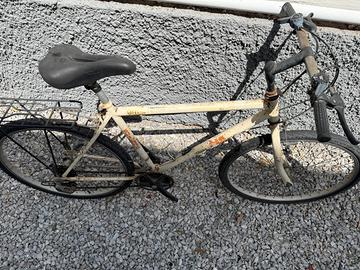 Due mountain bike