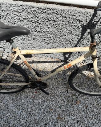 Due mountain bike