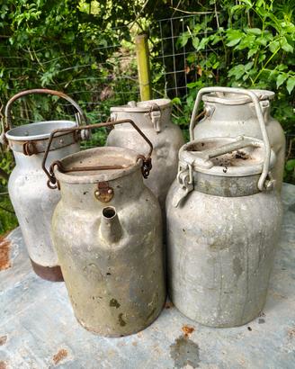 Bidoni per latte vintage