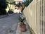 Immagine 16