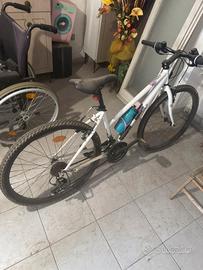 Bicicletta donna