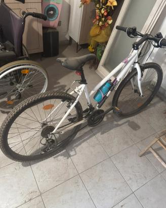 Bicicletta donna