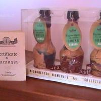 Mignonettes serie "Continenti" numerate