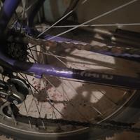 bicicletta