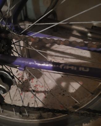 bicicletta